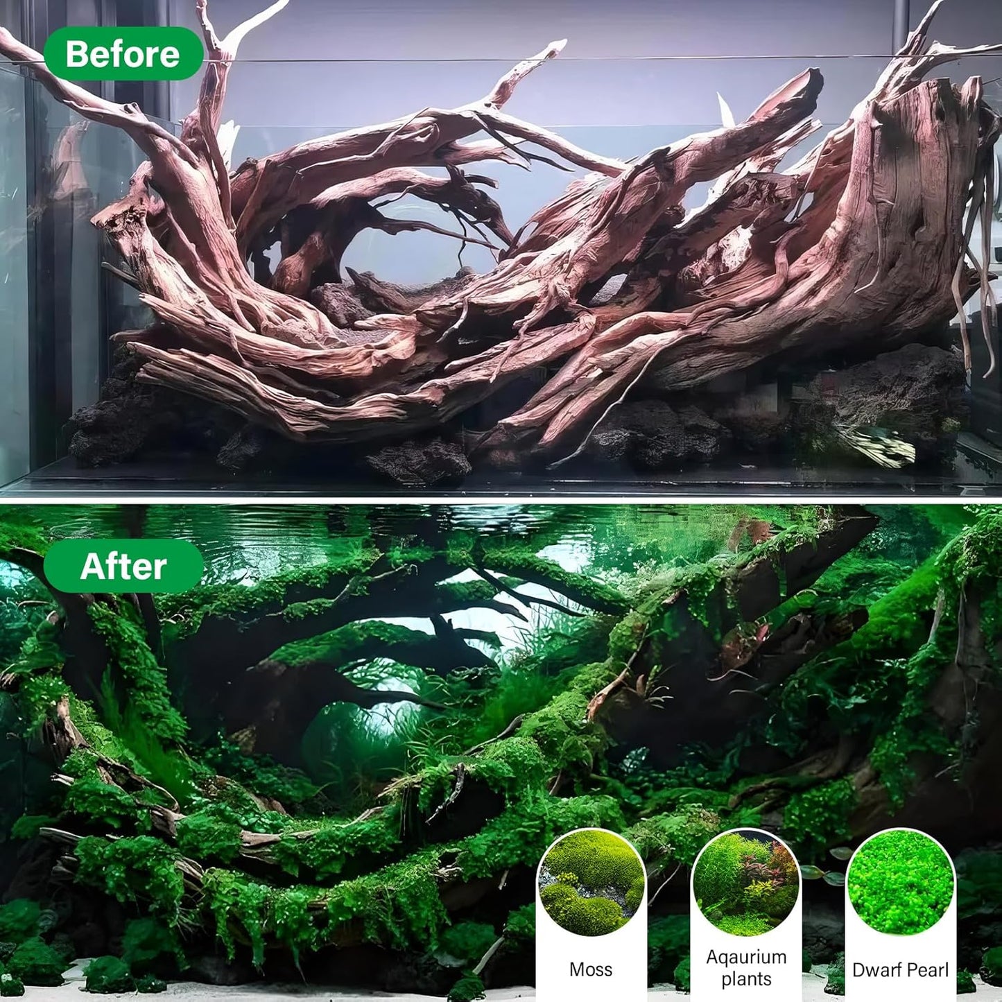 Driftwood for Aquarium Natural Aquarium Wood for Aquascaping Fish Tank Decorations Reptile Tank Decor (Natural Driftwood 6-10" (Pack of 3)+Protein Cotton)