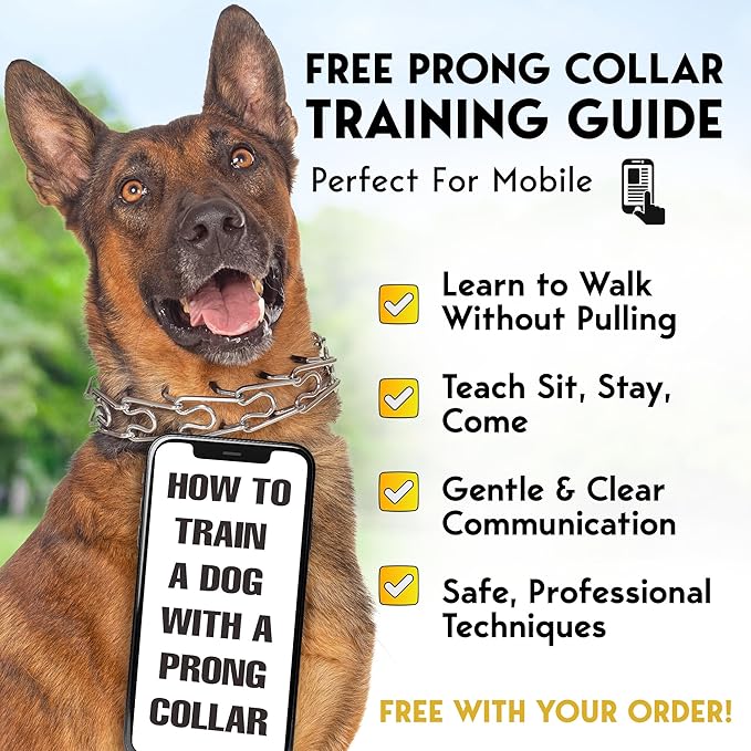 PetJett Prong Collar for Dogs - Adjustable Dog Training Collar No Pull Choke Collar for Dogs Pinch Collar for Dog Walking Tool for Small Medium, or Large Breed - Stainless Steel Metal Choker Chain