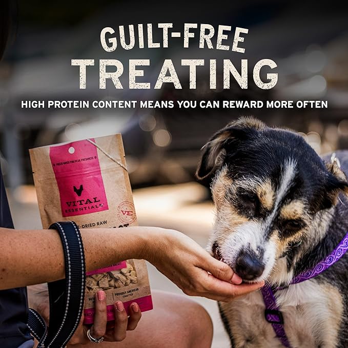 Vital Essentials Single Ingredient Beef Liver Dog Treats, 15 oz | Freeze-Dried Raw | Premium Quality High Protein Training Treats | Grain Free, Gluten Free, Filler Free