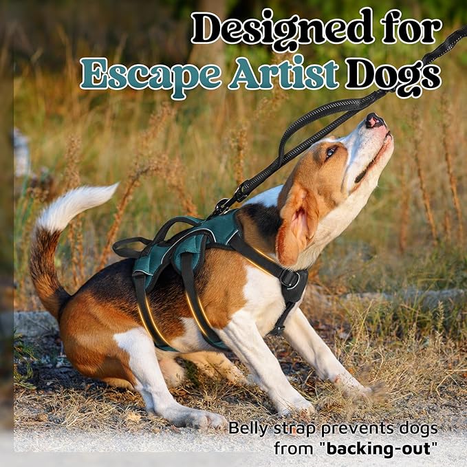 rabbitgoo Escape Proof Dog Harness Small Sized Dog, Soft Padded Full Body Pet Harness, Reflective Adjustable Vest with Lift Handle and Leash Clip for Walking Hiking Training, Dark Green, S
