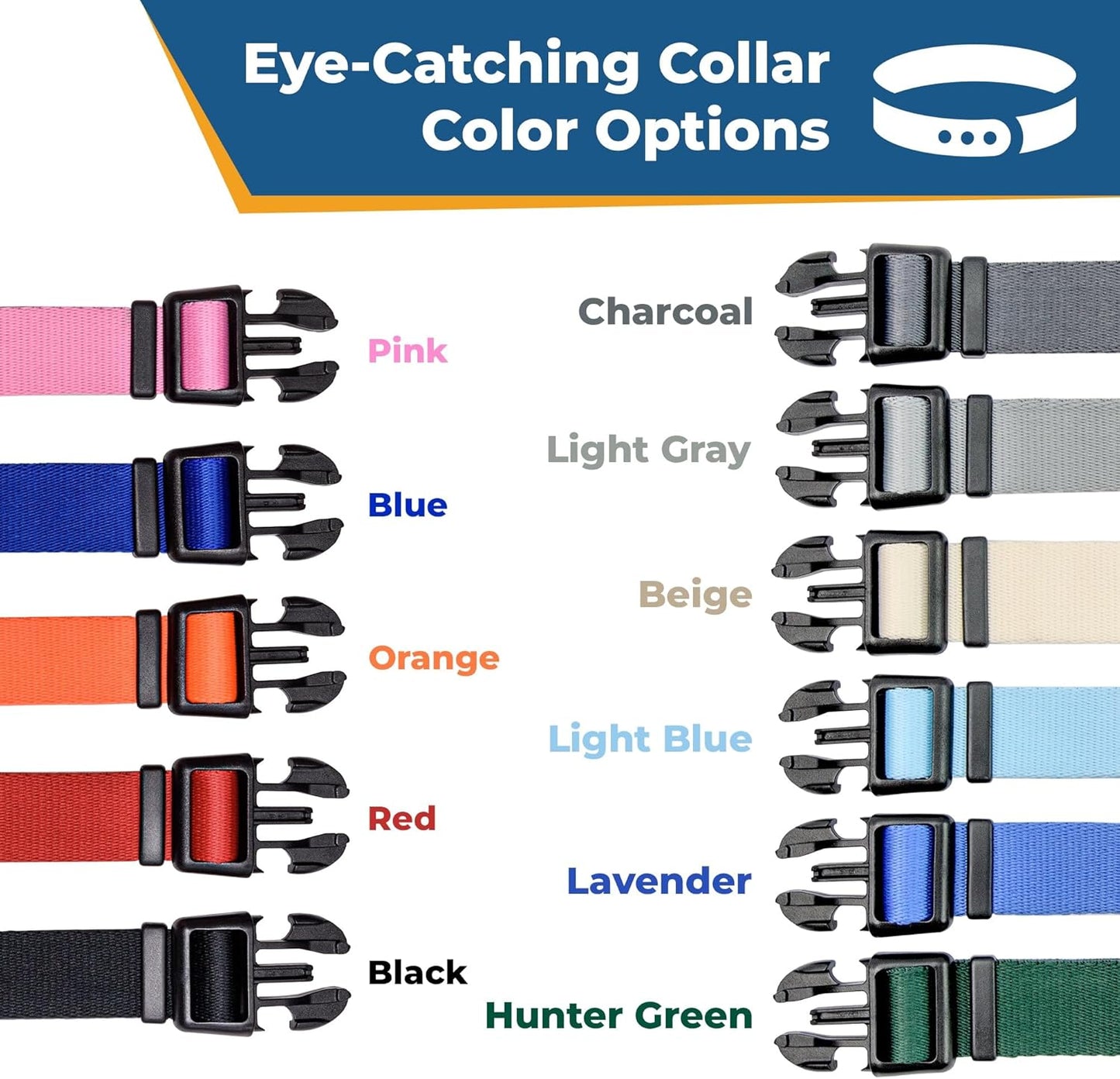 GoTags Personalized Dog Collar with Nameplate, Adjustable Dog Collar with Custom Engraved Slide On Pet ID Tag in Stainless Steel, Silent, No Noise Dog Tag (Light Blue, X-Small)