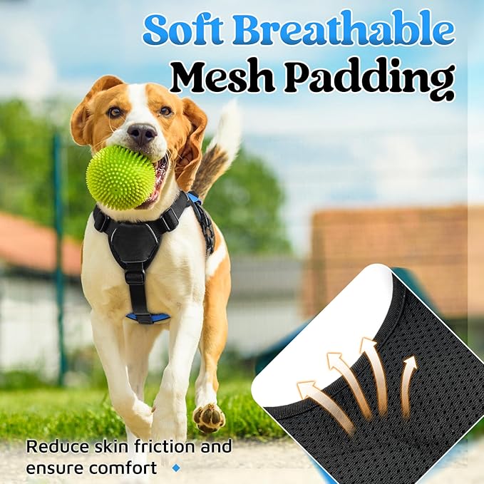 rabbitgoo Escape Proof Dog Harness, Soft Padded Full Body Pet Harness, Reflective Adjustable No Pull Vest with Lift Handle and Leash Clip for Large Dogs Walking Hiking Training, S, Blue
