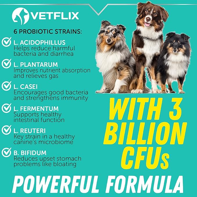 Premium Probiotics for Dogs, Cats - Digestive Enzymes & Prebiotics Supplement - Helps to Relieve Diarrhea, Vomiting, Upset Stomach, Gas, Constipation & Bad Breath - Supports Digestive System - 2 Fl Oz