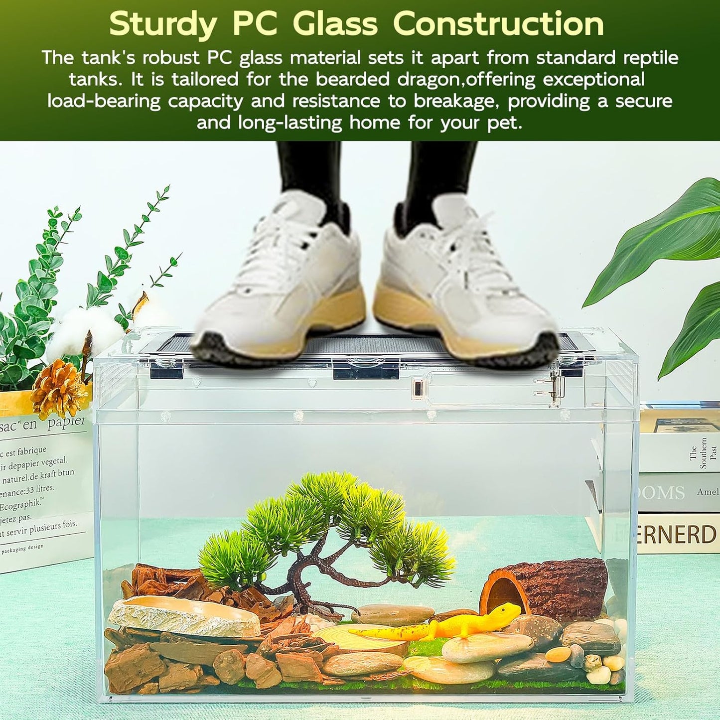 Reptile Tank Kit with Heat Lamp, Spray Bottle, Shovel, Tweezers, Food Bowl, Hideout -Perfect for Geckos, Jumping Spider,Milk Frog,Hermit Crabs,Snakes, Lizards (8''×8''×6'')