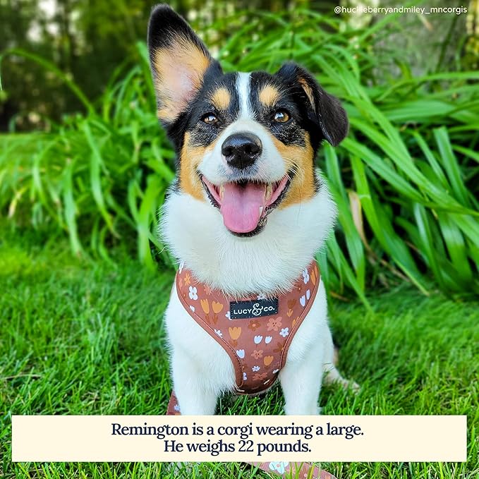 Lucy & Co. Cute Reversible Dog Harness Walking Halter - Best Designer Pet Harnesses for XS - XL Dogs - Padded Adjustable Vest for Easy Walking (X-Small, Chocolate Meadows - Brown & White Floral)
