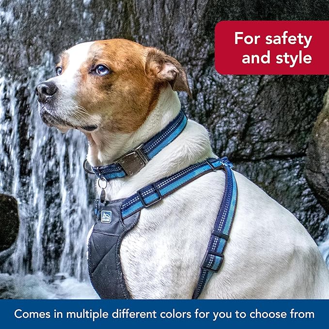 Coastal Pet K9 Explorer Reflective Adjustable Dog Collar - Comfortable Collar for The Outdoors - Durable, Lightweight Accessory with Side-Release Buckle - Goldenrod, 5/8" x 8-12"