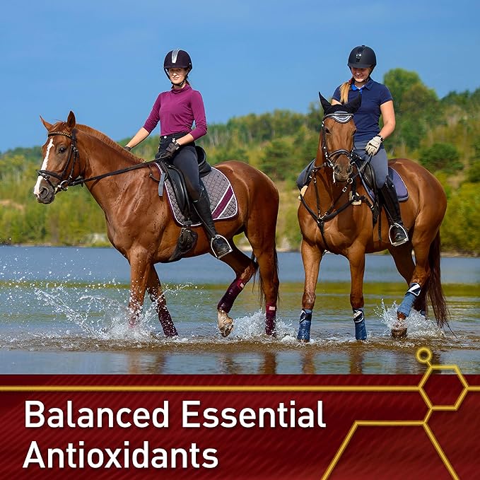 Vita Flex Pro E and Horse Selenium Supplement, Balanced Essential Antioxidants, 4 Pound, 64-Day Supply