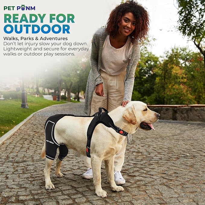 Petpanm- Adjustable Dog Knee Brace- Right Hind Leg with Integreted Harness- Premium Support for Torn ACL, Sprains & Strains Recovery, Enhances Mobility, Comfortable Neoprene.(Large)