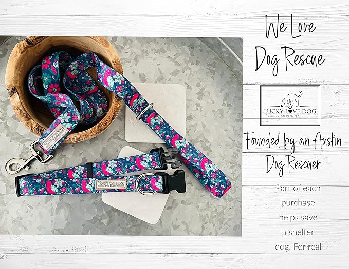 Lucky Love Dog Collar and Leash Combo, Vivid Floral Matching Girl Dog Leash and Collar Set for Small Dogs - (CarrieBelle Combo, Small)
