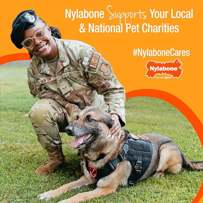 Nylabone Healthy Edibles Natural Dog Chews, Long Lasting Bones for Dogs, Roast Beef Flavor Dog Treats, X-Large (1 Count)