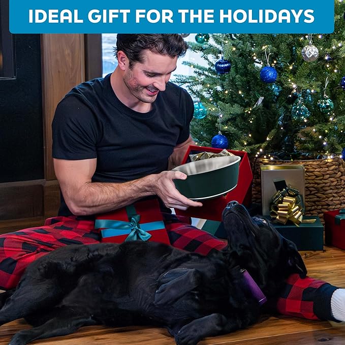 Master Pet Supply Stainless Steel Dog Bowls Set of 2 (128 Oz Each) with Non-Slip Rubber Base - Aqua Sky - Basic Dog Food Bowl Water & Food Bowls for Small Medium Large Dogs & Cats, Metal Dish