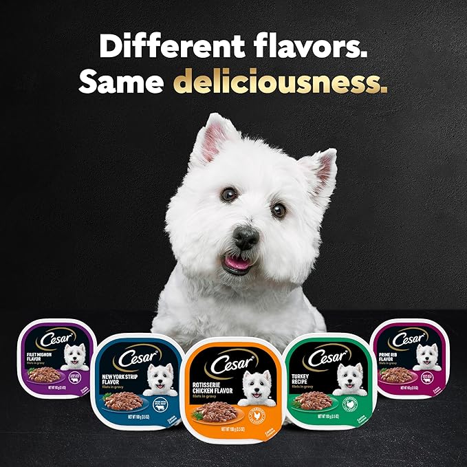 Cesar Filets in Gravy Adult Wet Dog Food, Filet Mignon and New York Strip Flavors Variety Pack, 3.5 oz. (12 Count, Pack of 1)