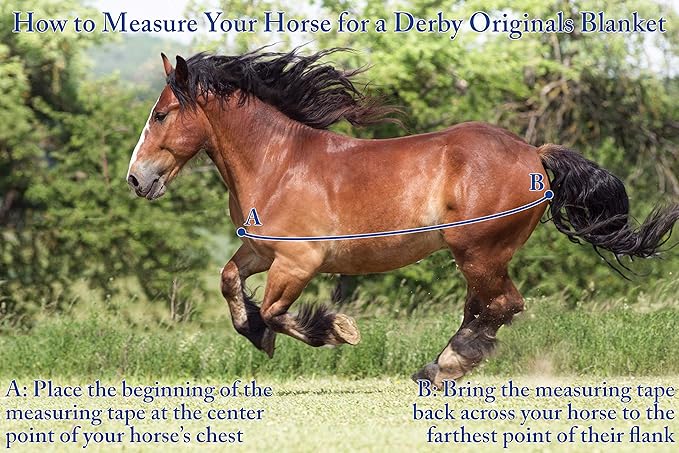 Derby Originals Nordic Tough 1200D Ripstop Waterproof Reflective Winter Horse Turnout Blanket 300g Heavy Weight, Royal Blue, 75"