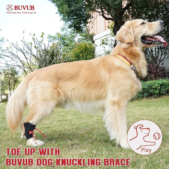 Dog Canine Knuckling Brace Front Paw Rear Leg Dog Foot Brace Wrap for Toe Dragging Cause by Sciatic Nerve Insufficiency, Myelopathy, Herniated Disc (Large,Pair Pack)