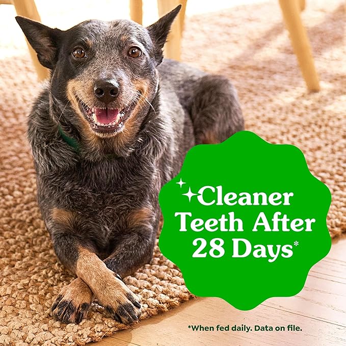 Greenies Veterinarian-Recommended Adult Natural Dental Dog Treats Petite Size, Sweet Potato Flavor, 12 oz. Pack, 20 Count