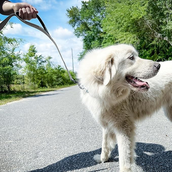 Joytale Dog Leash Heavy Duty for Large Dogs that Pull, Double Handle for Traffic Control, Double-Sided Reflective Leashes for Large Medium Dogs Night Safety, 4FT, Gray