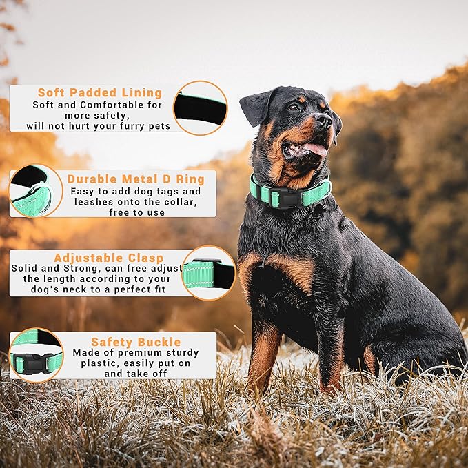 2 Pack Reflective Dog Collar with Safety Locking Buckle, Adjustable Soft Breathable Comfortable Nylon Pet Collar for Small, Medium and Large Dogs, Turquoise, M