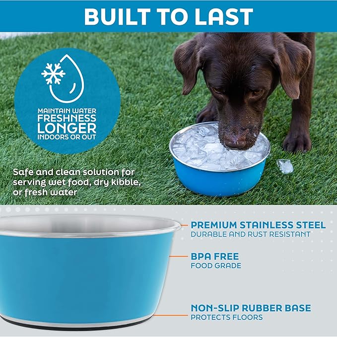 Master Pet Supply Stainless Steel Dog Bowls Set of 2 (32 Oz Each) with Non-Slip Rubber Base - Aqua Sky - Basic Dog Food Bowl Water & Food Bowls for Small Medium Large Dogs & Cats, Metal Dish