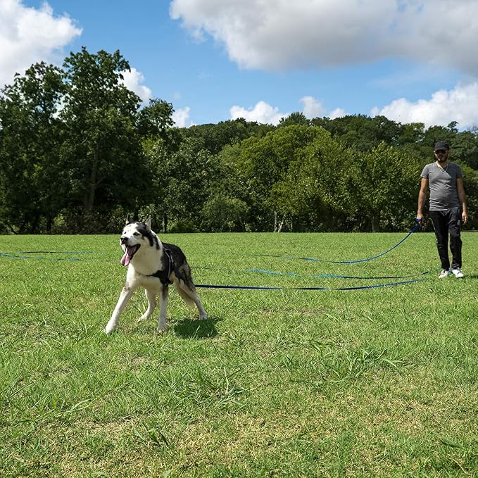 Hi Kiss Dog/Puppy Obedience Recall Training Agility Lead - 15ft 20ft 30ft 50ft 100ft Training Leash - Great for Training, Play, Camping, or Backyard (50 Feet, Green)