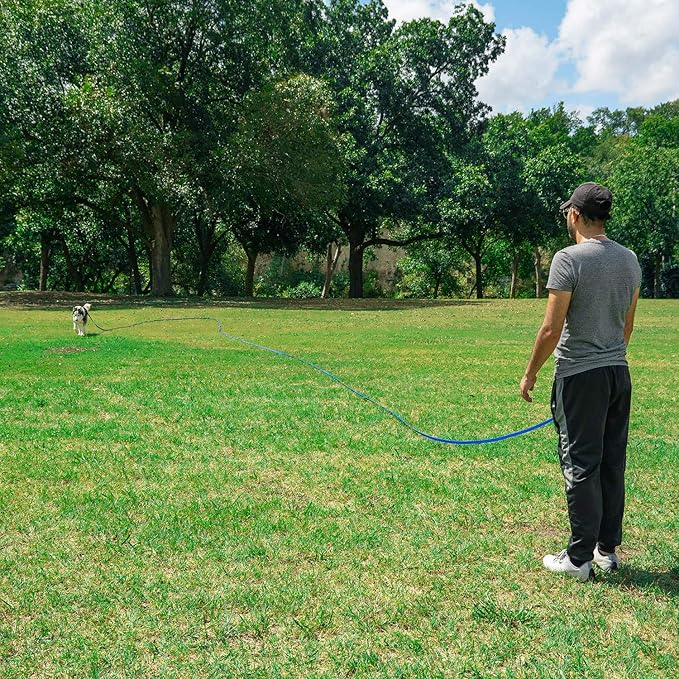 Hi Kiss Dog/Puppy Obedience Recall Training Agility Lead - 15ft 20ft 30ft 50ft 100ft Training Leash - Great for Training, Play, Camping, or Backyard - Pink 50ft