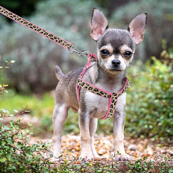 Mile High Life Leopard Dog Harness Collar Leash Set, Adjustable No Pull Dog Halter Harness for Small Breed Dogs, Easy Control for Training Walking (Pink, XS Chest 9"-15", Neck 8"-12")