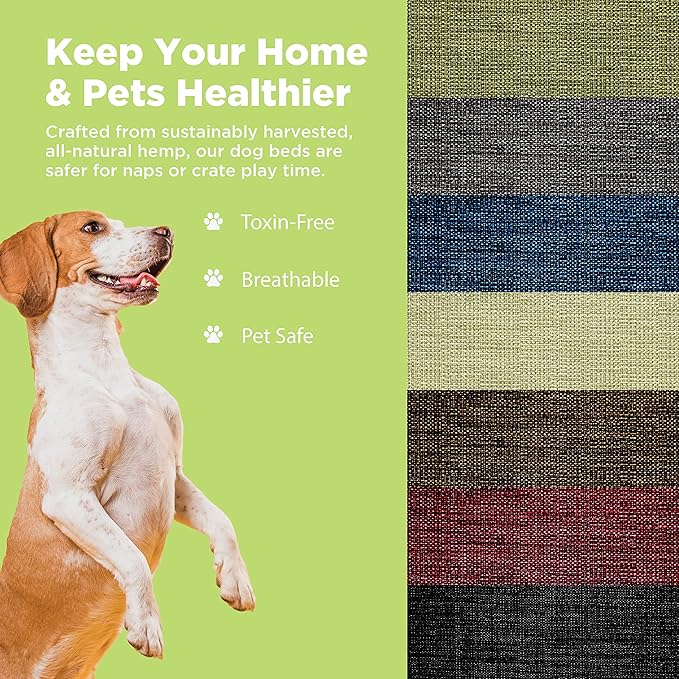 Medium - 36 x 24 x 5 - Cactus Premium Org Hemp Dog Bed - Organic Latex Fill - Removeable Cover